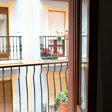 Aurrekoetxea 36 Vacation Rental, 2d Apartment *